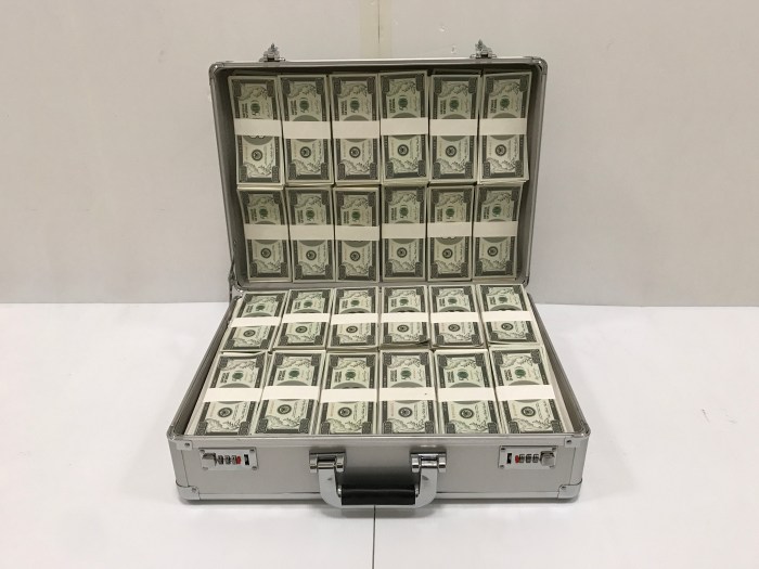 056B Suitcase of Cash (Open)